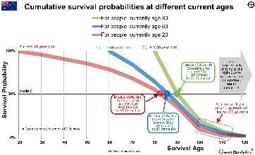 A graph showing the different stages of survivalDescription automatically generated